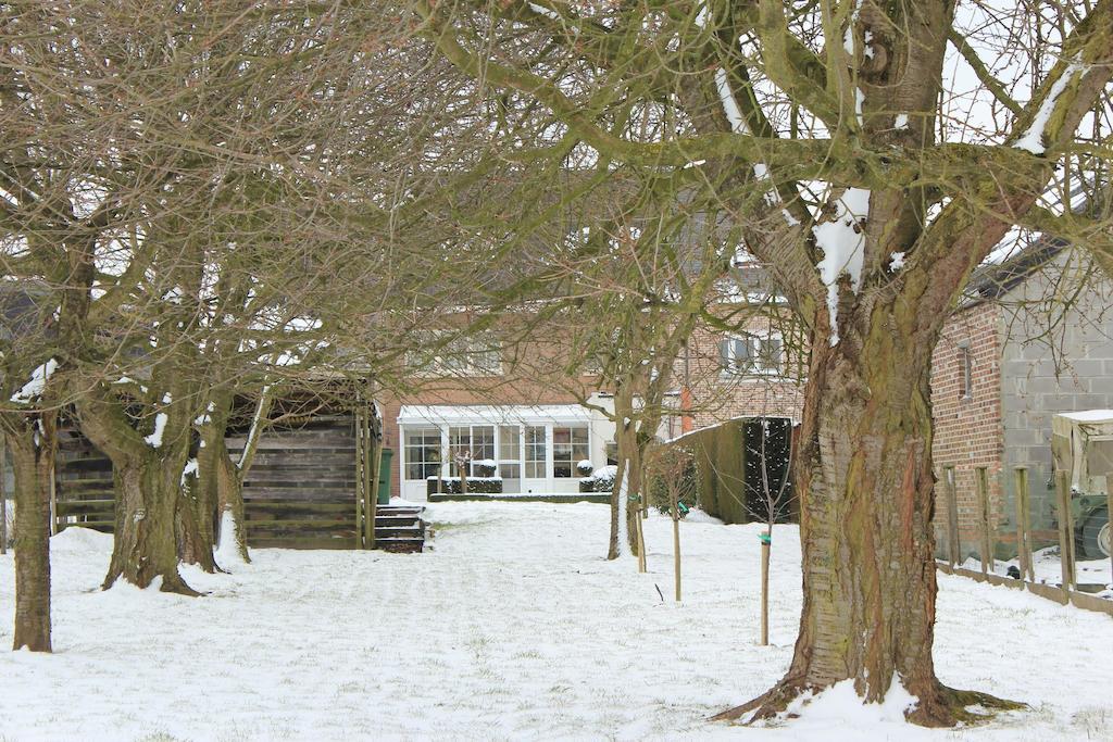B&B Den Boomgaard Moorsel Exterior photo